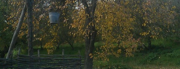 Украинский сад is one of Tempat yang Disukai Viktor.