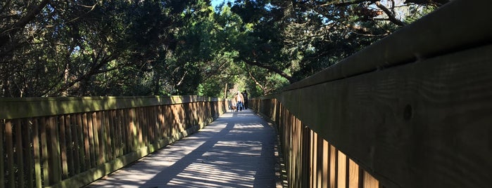 Ocean Hammock Park Walkway is one of Lugares favoritos de Theo.