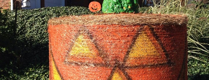 Devine Farms Pumpkin Patch is one of Midwest To-Do List.