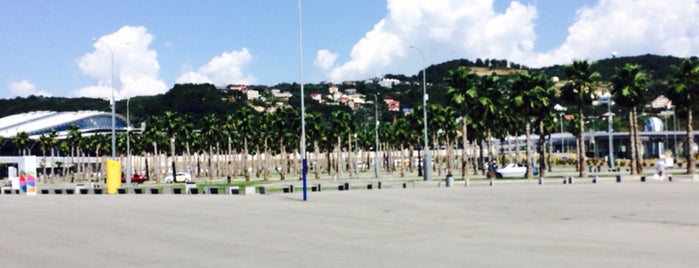 Sochi Olympic Park is one of Lieux qui ont plu à Valentin.