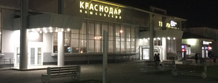 Pashkovsky International Airport (KRR) is one of Locais curtidos por Valentin.