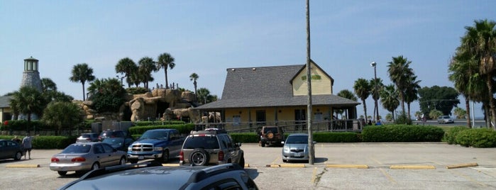 Treasure Island Golf & Games is one of Family Vaca.
