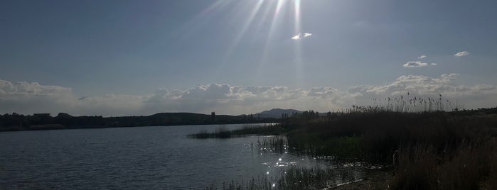 Emre Gölü is one of Afyon.