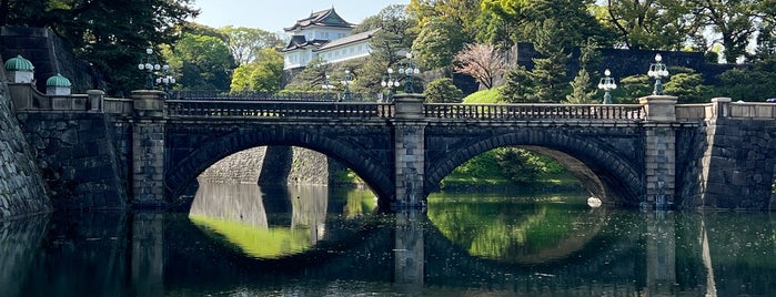 Nijubashi Bridge is one of 日本の100名城.