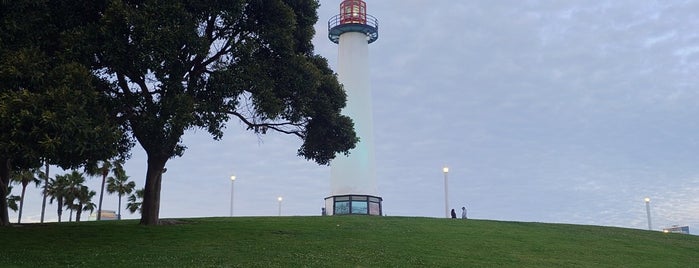 The Lions Lighthouse for Sight is one of California.