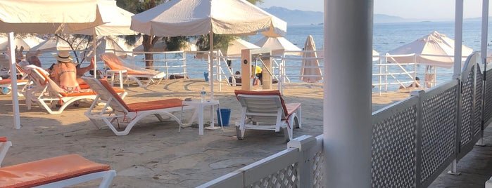 Club Armonia Beach Cafe &  Restaurant is one of Posti che sono piaciuti a Gökçen.