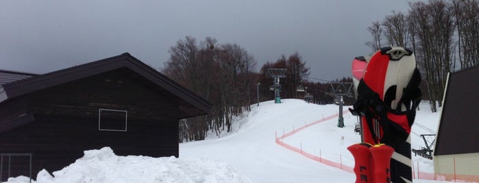 Aomori Spring Ski Resort is one of 東北のスキー場.