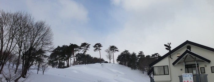 みどりの大地とロマンの森公園 is one of 東北のスキー場.