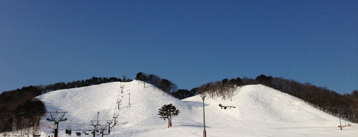 七戸町営スキー場 is one of 東北のスキー場.