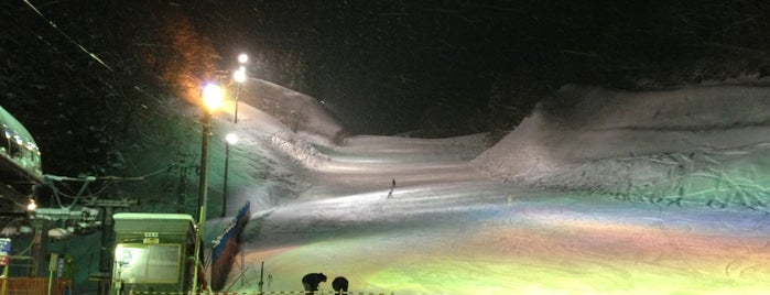 十和田湖温泉スキー場 is one of 東北のスキー場.