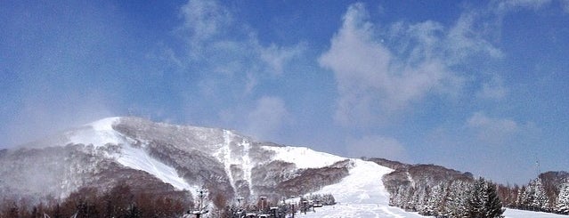 奥中山高原スキー場 is one of 東北のスキー場.