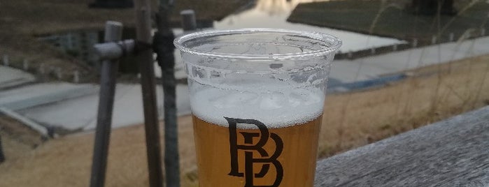 Beer Brain is one of マイクロブルワリー / Taproom.
