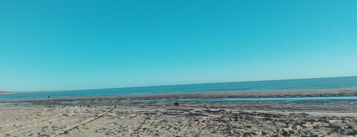 Golfo de Santa Clara is one of 🇮🇹La Vida en Mexico🇮🇹.