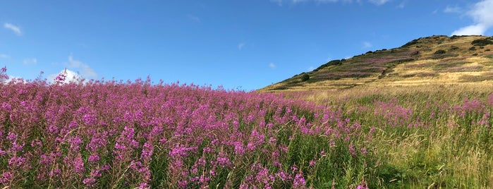 Arthur's Seat is one of Carlさんのお気に入りスポット.