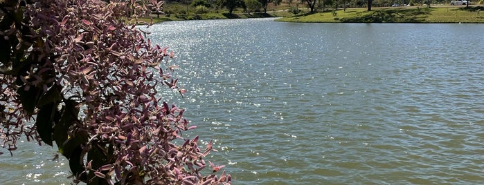 Parque Municipal Leolidio di Ramos Caiado is one of Atividade física.