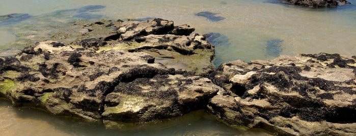 Praia de Areia Preta is one of Passeio.