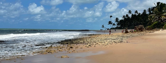 Praia de Coqueirinho is one of férias 2015.