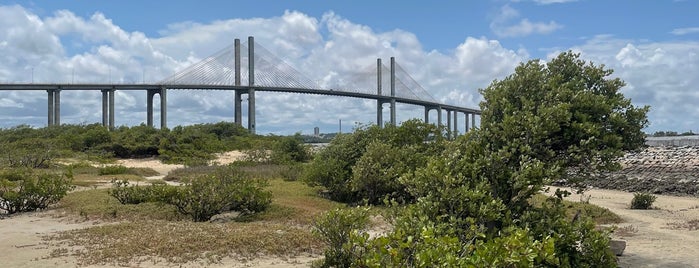 Praia do Forte is one of Lieux qui ont plu à Gabi.