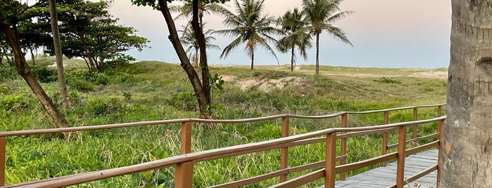 Praia de Atalaia is one of O Melhor do Nordeste Brasileiro.