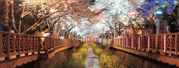 Yeojwacheon is one of other countries.... ☆彡.