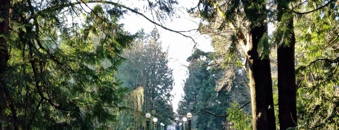 Washington Park Arboretum is one of Seattle.