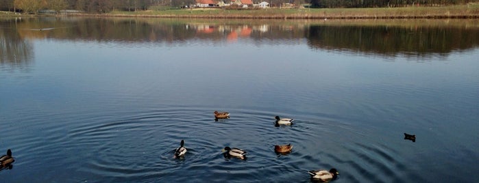 Obersee is one of Bielefeld, Germany.