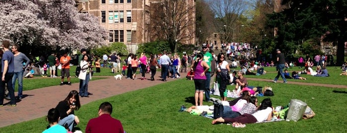 Université de Washington is one of NCAA Division I FBS Football Schools.