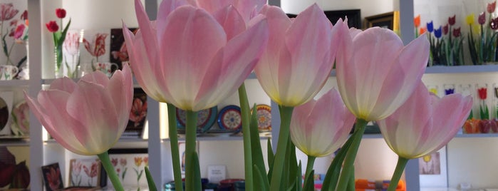 Amsterdam Tulip Museum is one of Yo Amsterdam!.