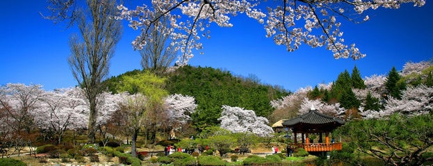 보문정 is one of CNN's 50 Beautiful Places to Visit in Korea.