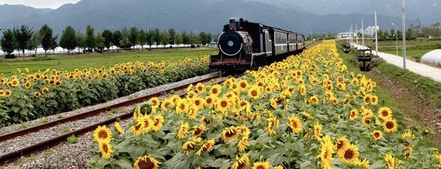 Seomjin River Train Village is one of CNN's 50 Beautiful Places to Visit in Korea.