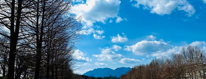 관방제림 is one of Outdoor Activities.