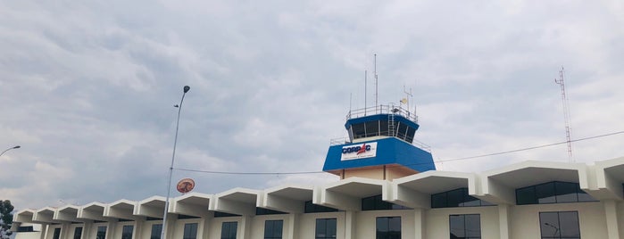 Aeropuerto Coronel FAP Alfredo Mendívil Duarte (AYP) is one of Tempat yang Disukai Eric.