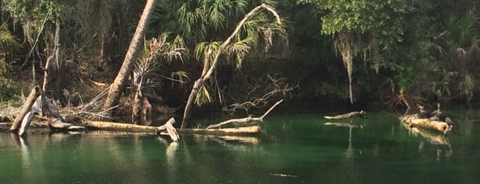 Blue Springs State Park is one of Lugares favoritos de Carlo.