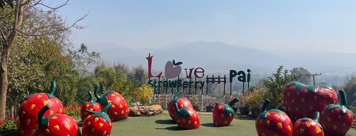 Love Strawberry Pai is one of Chiang Mai Good to Go.