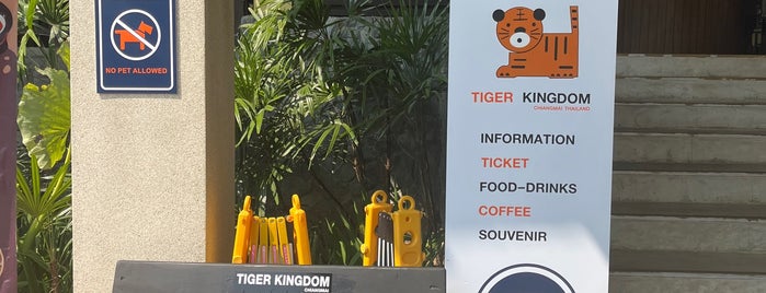 Tiger Kingdom is one of Chiang Mai rai.