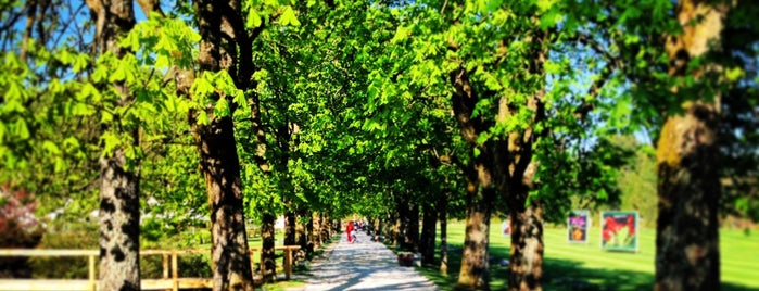 Arboretum Volčji Potok is one of dobra kava.