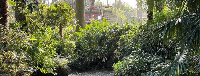 Adventure Isle is one of Disneyland Paris.