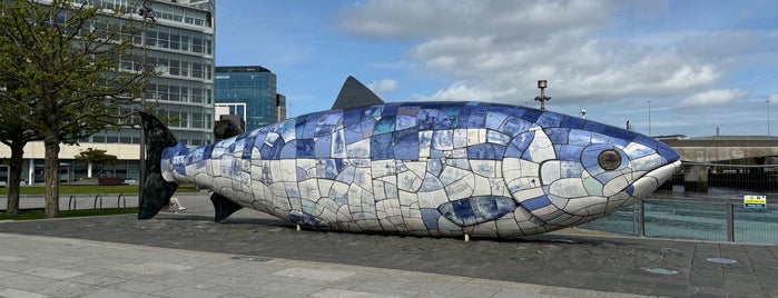 The Salmon of Knowledge (The Big Fish) is one of Belfast and Dublin.