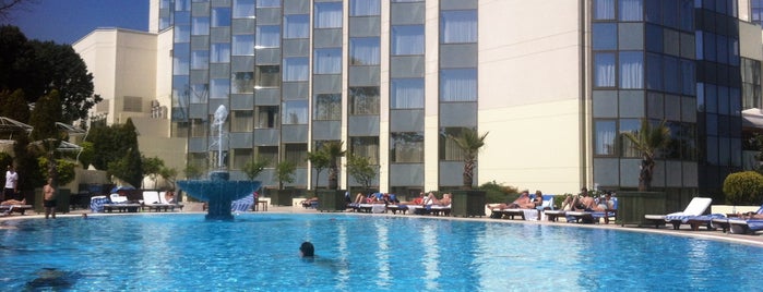 Swissôtel Swimming Pool is one of Locais curtidos por Ayca.