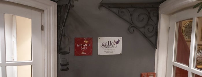 Gallo restaurant is one of Gastro vodič * Gastro guide.