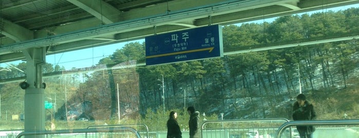 Paju Stn. is one of 경의선 (Gyeongui Line).