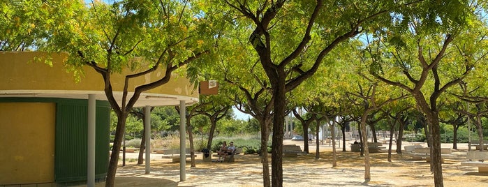 Parque Lo Torrent is one of Alicante Bikers.