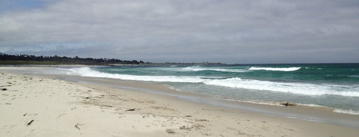 Asilomar State Beach is one of USA Trip 2013 - The West.