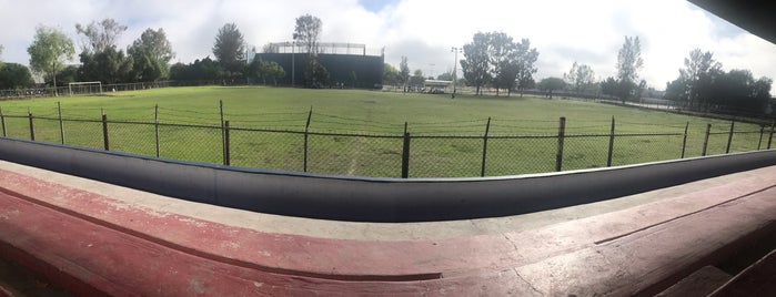 Unidad Deportiva Pedro Escobedo is one of Tempat yang Disukai Jesus.