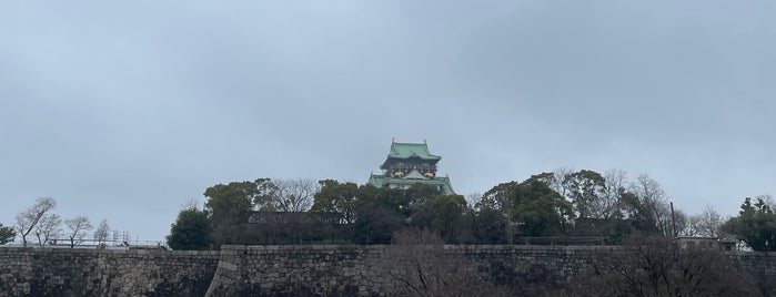 Osaka Castle Plum Orchard is one of 大阪城の見所.