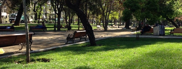 Parque Forestal is one of Al Aire Libre.