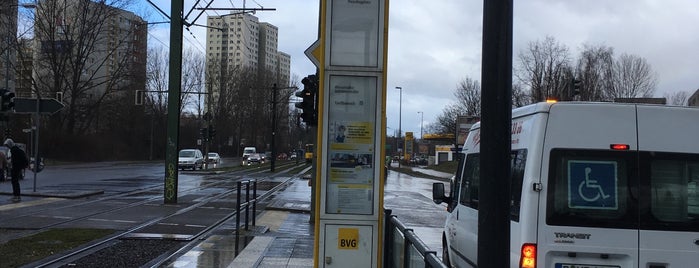 H Rhinstraße / Gärtnerstraße is one of Berlin MetroTram line M17.