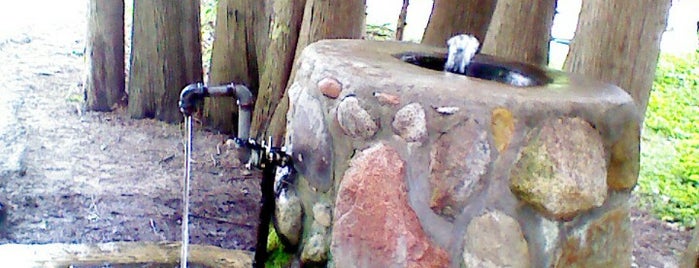 Little Eden Artesian Well is one of Great places to be.