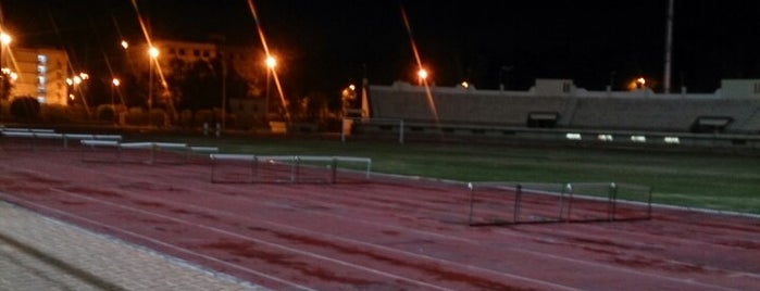 Mansoura University Stadium is one of werewolf.