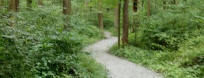 Hibernia County Park is one of Hopewell Big Woods.